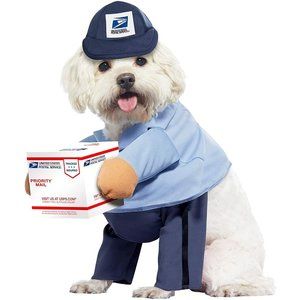 USPS Mail Carrier Dog Costume - Medium
